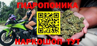 бутират Сланцы