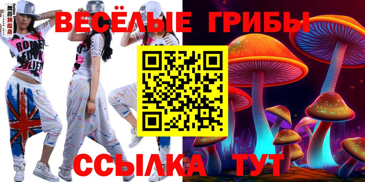 Можга  Галлюциногенные грибы прущие грибы  Вход с VPN 